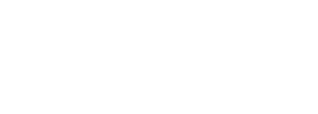 Logo_Captain Gogo