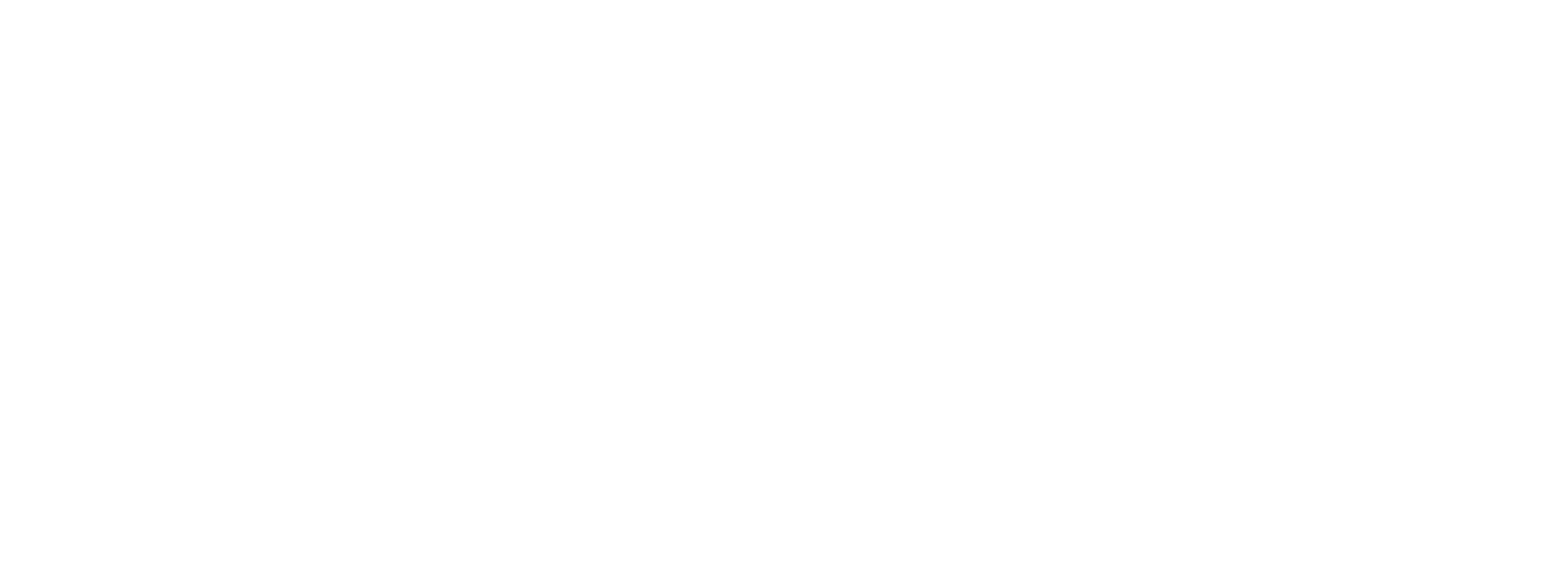 Logo_Captain Gogo